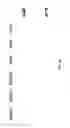 Fig. 28 - TREATING HUMAN IMMUNODEFICIENCY VIRUS INFECTIONS
