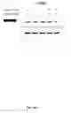 Fig. 159 - Anti-inflammatory peptides and composition comprising the same