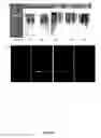 Fig. 58 - Anti-inflammatory peptides and composition comprising the same