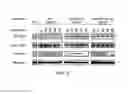 Fig. 06 - Stabilized P53 peptides and uses thereof