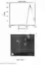 Fig. 14 - Stabilized P53 peptides and uses thereof