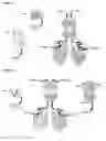 Fig. 09 - SINGLE-CHAIN FUSION POLYPEPTIDE COMPRISING TRAIL