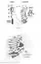 Fig. 02 - Modified recombinant variable lymphocyte receptors (VLR)