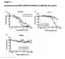 Fig. 05 - GITRL-collectin fusion proteins and encoding nucleic acids