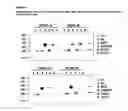 Fig. 08 - GITRL-collectin fusion proteins and encoding nucleic acids