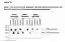 Fig. 14 - GITRL-collectin fusion proteins and encoding nucleic acids
