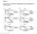 Fig. 23 - GITRL-collectin fusion proteins and encoding nucleic acids