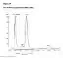 Fig. 25 - GITRL-collectin fusion proteins and encoding nucleic acids