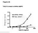 Fig. 35 - GITRL-collectin fusion proteins and encoding nucleic acids