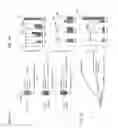 Fig. 02 - CELL LINE, SYSTEM AND METHOD FOR OPTICAL CONTROL OF SECONDARY MESSENGERS