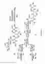 Fig. 12 - GLYCOPROTEIN SYNTHESIS AND REMODELING BY ENZYMATIC TRANSGLYCOSYLATION