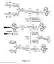 Fig. 13 - GLYCOPROTEIN SYNTHESIS AND REMODELING BY ENZYMATIC TRANSGLYCOSYLATION