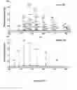 Fig. 14 - GLYCOPROTEIN SYNTHESIS AND REMODELING BY ENZYMATIC TRANSGLYCOSYLATION