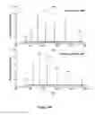 Fig. 15 - GLYCOPROTEIN SYNTHESIS AND REMODELING BY ENZYMATIC TRANSGLYCOSYLATION