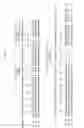 Fig. 03 - Engineered antibody constant domain molecules