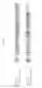 Fig. 09 - Engineered antibody constant domain molecules