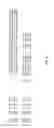 Fig. 14 - TREATMENT AND PROPHYLAXIS OF AMYLOIDOSIS