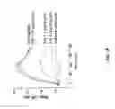 Fig. 29 - TREATMENT AND PROPHYLAXIS OF AMYLOIDOSIS