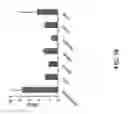 Fig. 31 - TREATMENT AND PROPHYLAXIS OF AMYLOIDOSIS