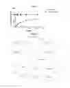 Fig. 06 - Modified antibody containing the cleavable peptide with the amino acid sequence TGRGPSWV