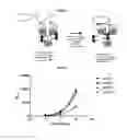 Fig. 12 - Modified antibody containing the cleavable peptide with the amino acid sequence TGRGPSWV