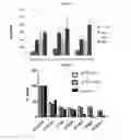 Fig. 19 - Modified antibody containing the cleavable peptide with the amino acid sequence TGRGPSWV