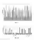 Fig. 08 - Anti-IL-17 antibodies