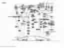 Fig. 02 - Bispecific format suitable for use in high-through-put screening