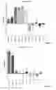 Fig. 07 - Bispecific format suitable for use in high-through-put screening