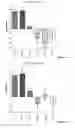 Fig. 08 - Bispecific format suitable for use in high-through-put screening