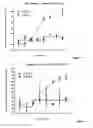 Fig. 09 - Bispecific format suitable for use in high-through-put screening