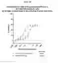 Fig. 25 - Bispecific format suitable for use in high-through-put screening