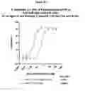 Fig. 26 - Bispecific format suitable for use in high-through-put screening
