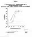 Fig. 27 - Bispecific format suitable for use in high-through-put screening