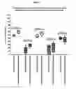 Fig. 32 - Bispecific format suitable for use in high-through-put screening