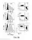 Fig. 04 - Mesothelin-targeted chimeric antigen receptors and uses thereof