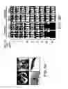 Fig. 07 - Mesothelin-targeted chimeric antigen receptors and uses thereof