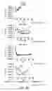 Fig. 08 - Mesothelin-targeted chimeric antigen receptors and uses thereof
