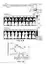 Fig. 10 - Mesothelin-targeted chimeric antigen receptors and uses thereof