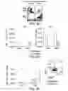 Fig. 12 - Mesothelin-targeted chimeric antigen receptors and uses thereof