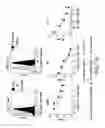 Fig. 19 - Mesothelin-targeted chimeric antigen receptors and uses thereof