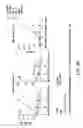 Fig. 25 - Mesothelin-targeted chimeric antigen receptors and uses thereof