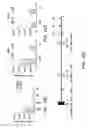 Fig. 30 - Mesothelin-targeted chimeric antigen receptors and uses thereof