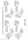 Fig. 32 - Mesothelin-targeted chimeric antigen receptors and uses thereof