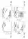 Fig. 34 - Mesothelin-targeted chimeric antigen receptors and uses thereof