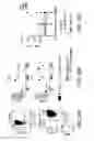 Fig. 41 - Mesothelin-targeted chimeric antigen receptors and uses thereof