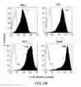 Fig. 49 - Mesothelin-targeted chimeric antigen receptors and uses thereof
