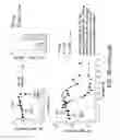 Fig. 55 - Mesothelin-targeted chimeric antigen receptors and uses thereof