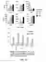 Fig. 56 - Mesothelin-targeted chimeric antigen receptors and uses thereof