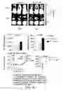 Fig. 57 - Mesothelin-targeted chimeric antigen receptors and uses thereof